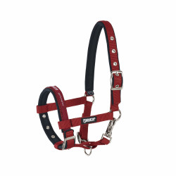 Licol Eskadron Fohlen Pimenté Rouge Licol Eskadron Fohlen Pimenté Rouge