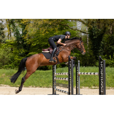 Pantalon homme Pikeur Rodrigo grip genoux Pantalon homme Pikeur Rodrigo grip genoux