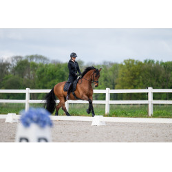 Pikeur damesbroek New Lugana kunstlederen zitvlak 0908 middelhoge taille Zwart Pikeur damesbroek New Lugana kunstlederen zitvlak 0908 middelhoge taille Zwart