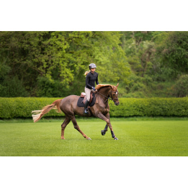 Pantalon Amia 6805 Pikeur grip genoux taille mi haute femme Taupe Marron