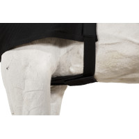 Schouderbeschermer Eskadron Dynair Mesh Zwart Schouderbeschermer Eskadron Dynair Mesh Zwart