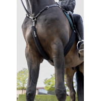 Protège martingale Eskadron néoprène Noir