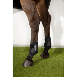 Eskadron Compact achterste kogelbeschermers Zwart