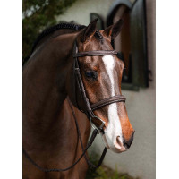 Bridon Hunter met veters LeMieux Havanna / zilver Bruin