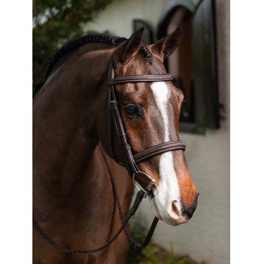 Bridon Hunter met veters LeMieux Bridon Hunter met veters LeMieux