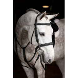 Bridon Hunter met veters LeMieux Zwart / zilver