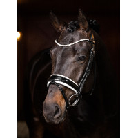 Frontal LeMieux Ice Blue Crystal Noir