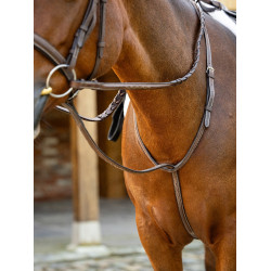 Martingale fixe Hunter LeMieux Havane / argent Marron Martingale fixe Hunter LeMieux Havane / argent Marron