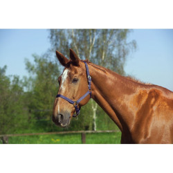 Nylon halster met dubbele dikte en gespen Norton Nylon halster met dubbele dikte en gespen Norton