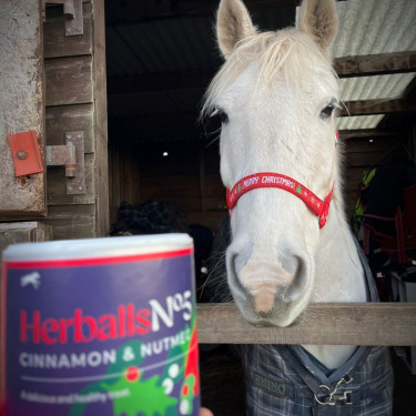 Herballs N° 5 Cannelle & Muscade Hilton Herbs Herballs N° 5 Cannelle & Muscade Hilton Herbs