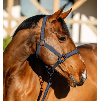 Halster en lijn Amigo Horseware Marine