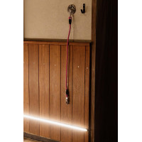 Siliconen halstertouw Kentucky Roze