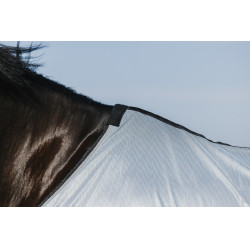 Rijhemd Riding World Belly Mesh Rijhemd Riding World Belly Mesh