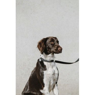 Halsband voor hond Equithème Nala
