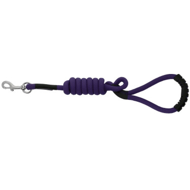 Laisse pour chien avec poignée Riding World Lucky Laisse pour chien avec poignée Riding World Lucky