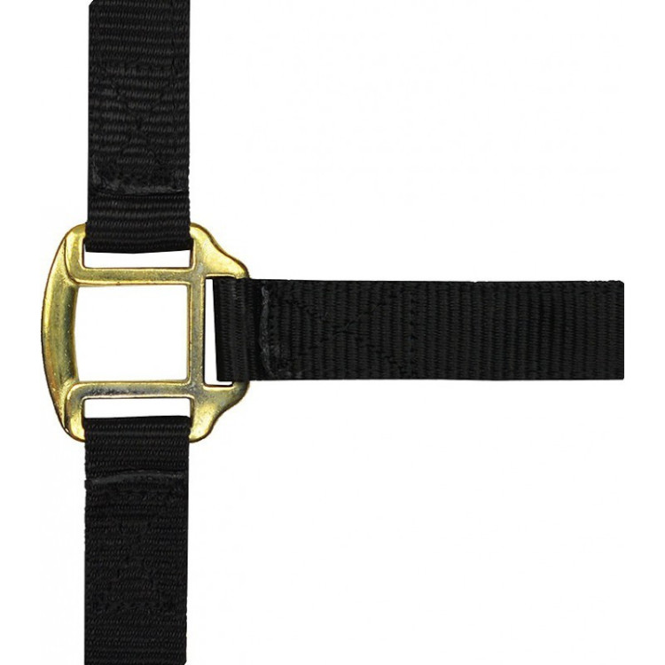 Licol nylon doublé cuir Norton Licol nylon doublé cuir Norton
