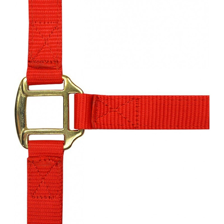 Licol nylon doublé cuir Norton Licol nylon doublé cuir Norton