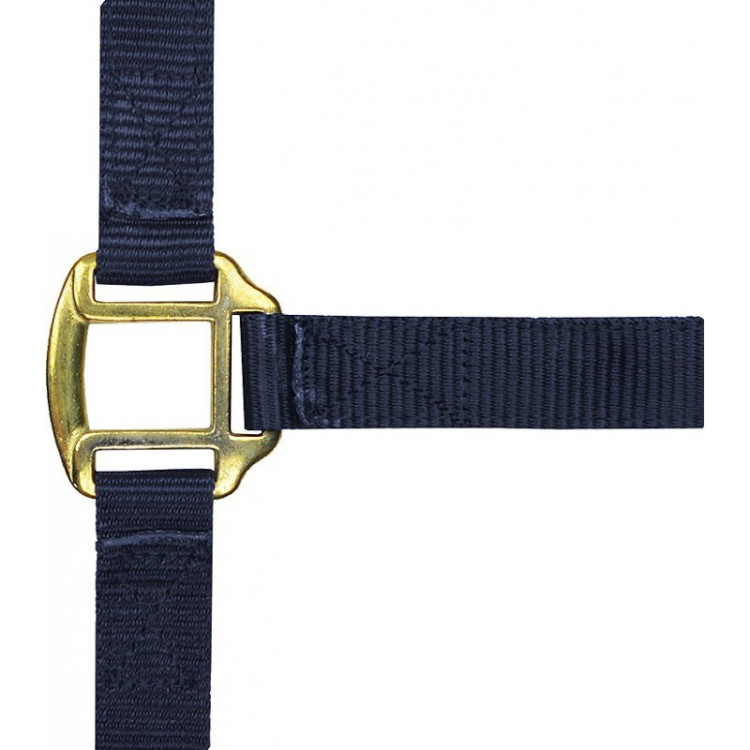 Licol nylon doublé cuir Norton Licol nylon doublé cuir Norton