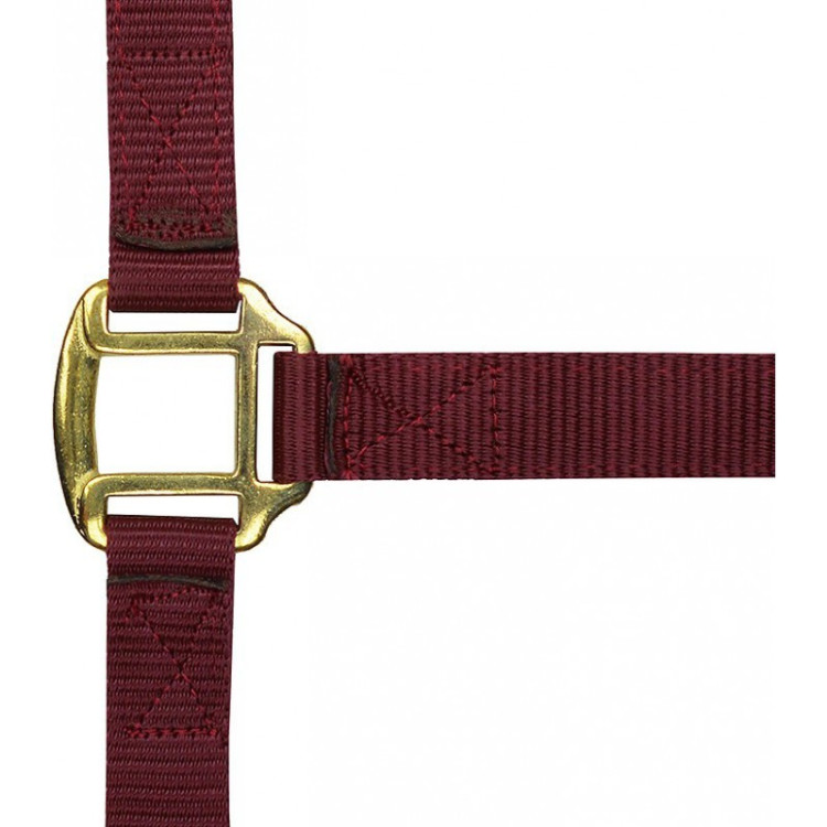 Licol nylon doublé cuir Norton Licol nylon doublé cuir Norton