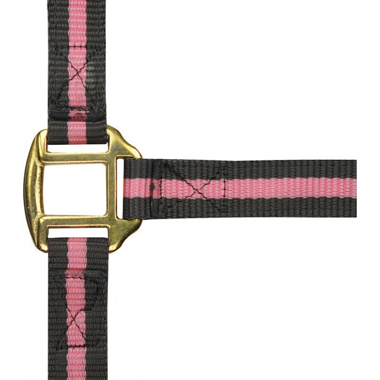 Licol nylon doublé cuir Norton Licol nylon doublé cuir Norton