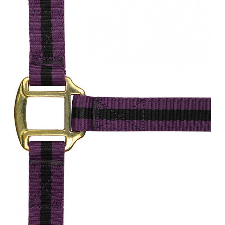 Licol nylon doublé cuir Norton Licol nylon doublé cuir Norton
