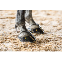 Hipposandale Scootboot... Hipposandale Scootboot...