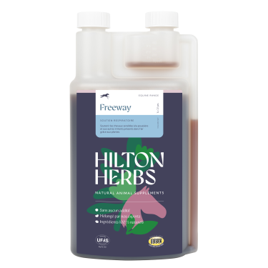Freeway Gold Hilton Herbs