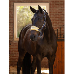 Halster en longe Lemieux Vogue Halster en longe Lemieux Vogue