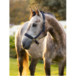 Licol LeMieux Logo Marine Bleu marine