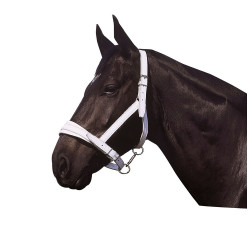 Norton Club leren halster met chroomafwerking Norton Club leren halster met chroomafwerking