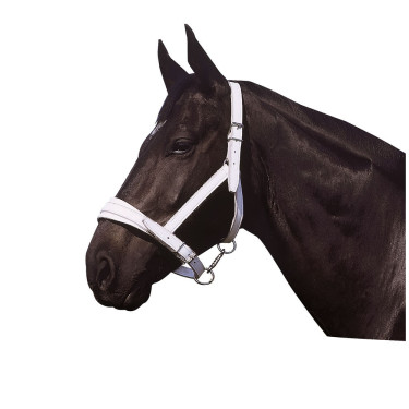 Norton Club leren halster met chroomafwerking Norton Club leren halster met chroomafwerking