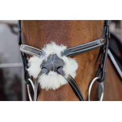 Bridon Muserolle Croisée Tressée D Collection Dy'on Noir Bridon Muserolle Croisée Tressée D Collection Dy'on Noir