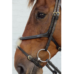 Bridon Muserolle Croisée Tressée D Collection Dy'on Noir Bridon Muserolle Croisée Tressée D Collection Dy'on Noir