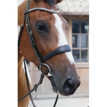 Muserolle Anatomique sans Sous Barbe Collection US Jumping Dy'on Muserolle Anatomique sans Sous Barbe Collection US Jumping Dy'on