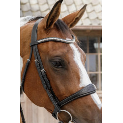 Anatomische Neusriem zonder Kinriem Collectie US Jumping Dy'on Zwart Anatomische Neusriem zonder Kinriem Collectie US Jumping Dy'on Zwart