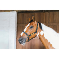 Lederen halster Wellington Kentucky Zwart