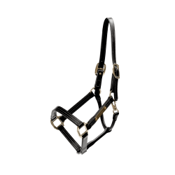 Licol en cuir Wellington Kentucky Noir