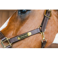 Licol en cuir Wellington Kentucky Brun Marron