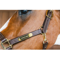 Licol en cuir Wellington Kentucky Brun Marron