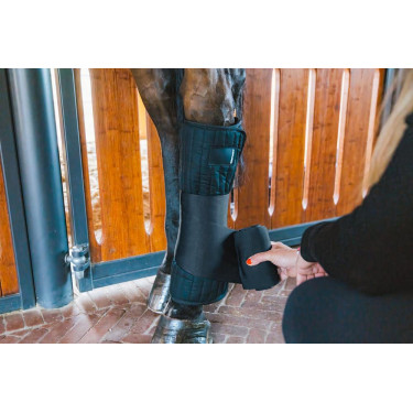 Amerikaans katoen Kentucky Zwart