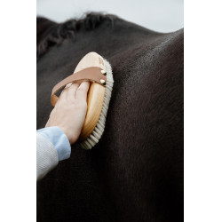 Zachte borstel Grooming Deluxe Zachte borstel Grooming Deluxe
