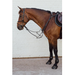 Muserolle croisée tressée New English Collection Dy'on Noir