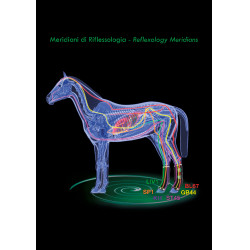 Guêtres thérapeutique Zandona Air postérieurs Noir