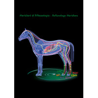 Therapeutische achterbeenbeschermers Zandona Air Zwart Therapeutische achterbeenbeschermers Zandona Air Zwart