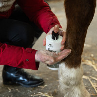 Gel chauffant Ekinat Gel chauffant Ekinat