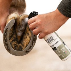 Lotion entretien des fourchettes Ekinat