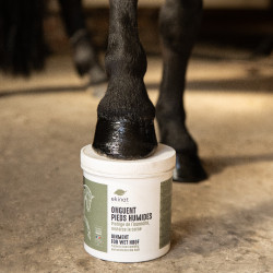 Onguent pieds humides Ekinat