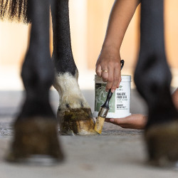 Onguent pieds secs Ekinat