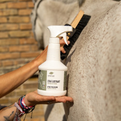 Spray Xtra' Glanz Ekinat Spray Xtra' Glanz Ekinat