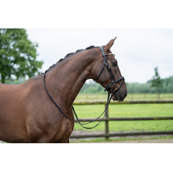 Hoofdstel Kopenhagen HKM Zwart